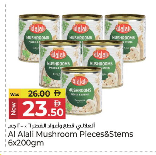 Mushroom available at كنز هايبرماركت in الإمارات العربية المتحدة , الامارات - الشارقة / عجمان