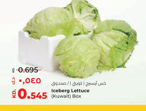 Lettuce from Kuwait available at Lulu Hypermarket  in Kuwait - Jahra Governorate