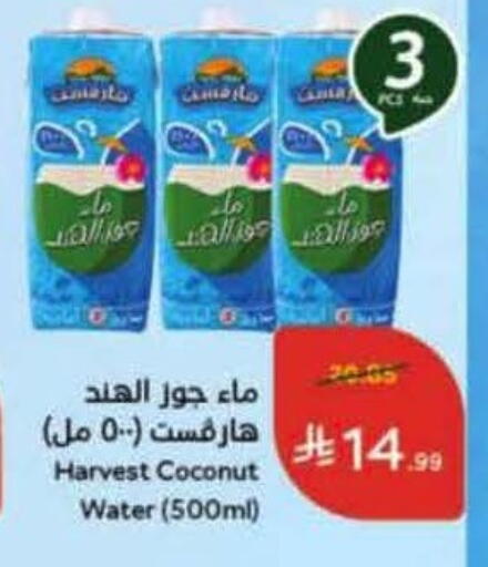 Coconut available at Hyper Panda in KSA, Saudi Arabia, Saudi - Jeddah