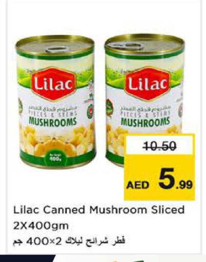 Mushroom available at نستو هايبرماركت in الإمارات العربية المتحدة , الامارات - الشارقة / عجمان
