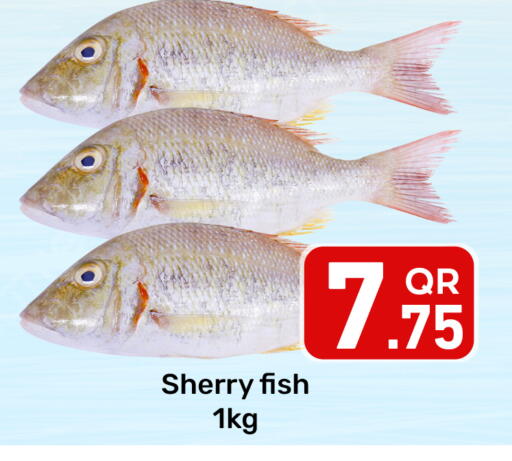 available at مجلس هايبرماركت in قطر - الريان