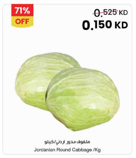 Cabbage from Jordan available at The Sultan Center in Kuwait - Jahra Governorate