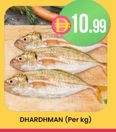 available at صفا اكسبريس سوبرماركت in الإمارات العربية المتحدة , الامارات - ٱلْعَيْن‎