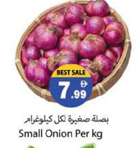Onion available at جلف هايبرماركت ذ.م.م in الإمارات العربية المتحدة , الامارات - رَأْس ٱلْخَيْمَة
