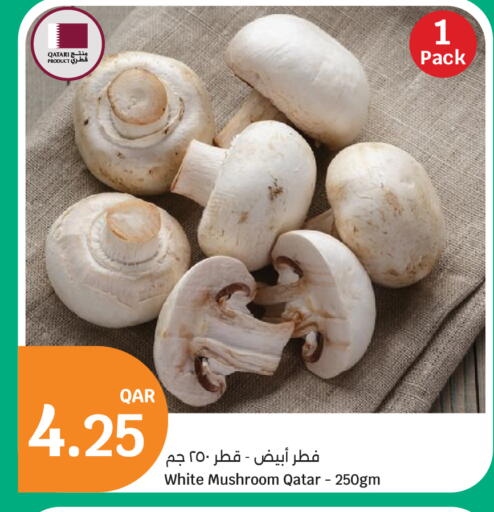 Mushroom from Qatar available at City Hypermarket in Qatar - Al Shamal