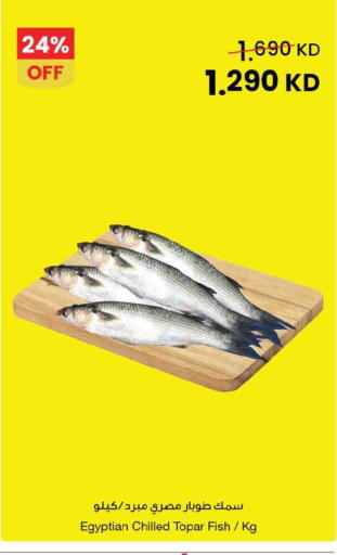 available at مركز سلطان in الكويت - محافظة الأحمدي