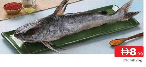 available at AL MADINA in UAE - Sharjah / Ajman