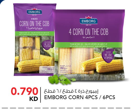 available at  ALNASSER HYPERMARKET in Kuwait - Ahmadi Governorate