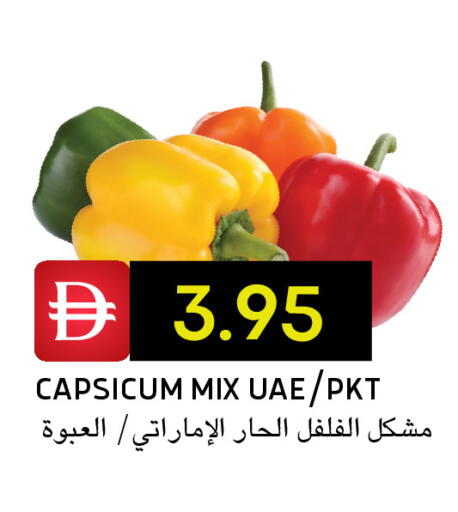 Capsicum available at سيليكت ماركت in الإمارات العربية المتحدة , الامارات - أبو ظبي