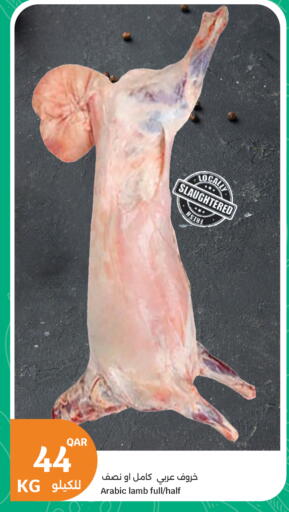 available at City Hypermarket in Qatar - Al Rayyan