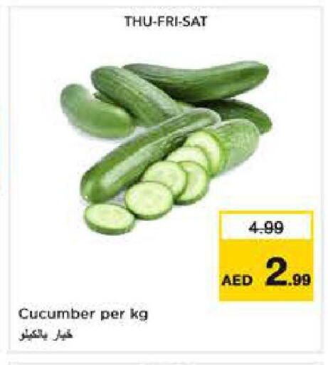 Cucumber available at لاست تشانس in الإمارات العربية المتحدة , الامارات - ٱلْفُجَيْرَة‎