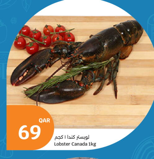 available at City Hypermarket in Qatar - Al Shamal