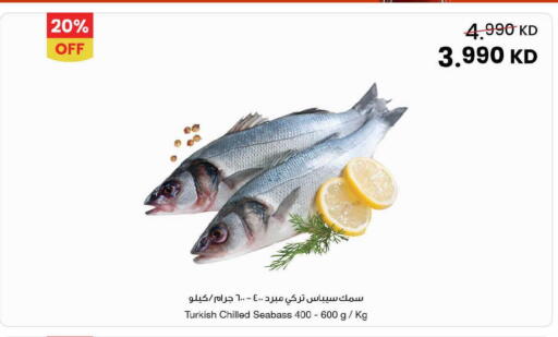 available at مركز سلطان in الكويت - محافظة الأحمدي