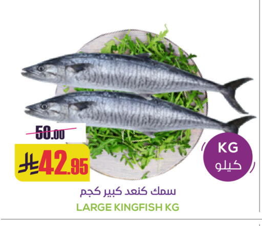 available at سبت in مملكة العربية السعودية, السعودية, سعودية - بريدة