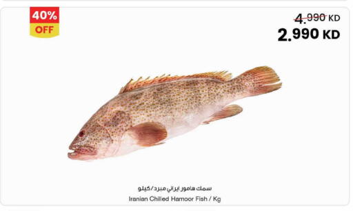 available at مركز سلطان in الكويت - محافظة الأحمدي