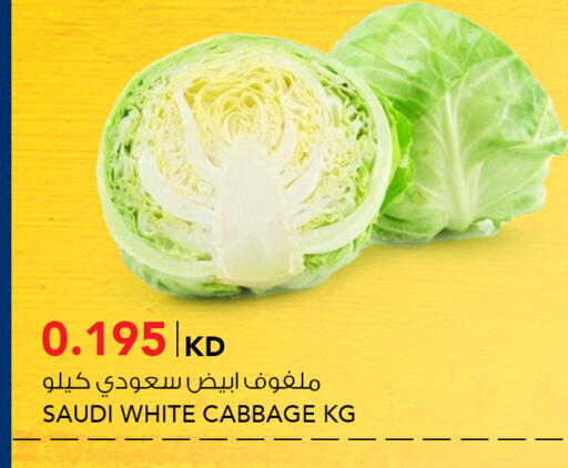 Cabbage from Saudi Arabia available at النصر هايبر ماركت in الكويت - محافظة الأحمدي