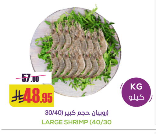 available at سبت in مملكة العربية السعودية, السعودية, سعودية - بريدة