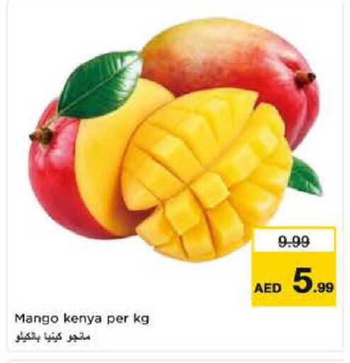Mango from Kenya available at نستو هايبرماركت in الإمارات العربية المتحدة , الامارات - ٱلْعَيْن‎