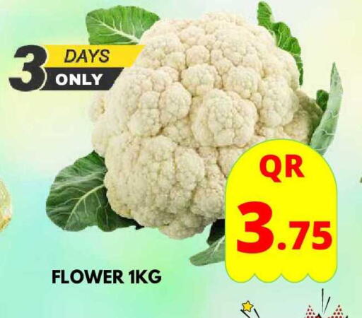 available at دبي شوبينغ سنتر in قطر - الوكرة