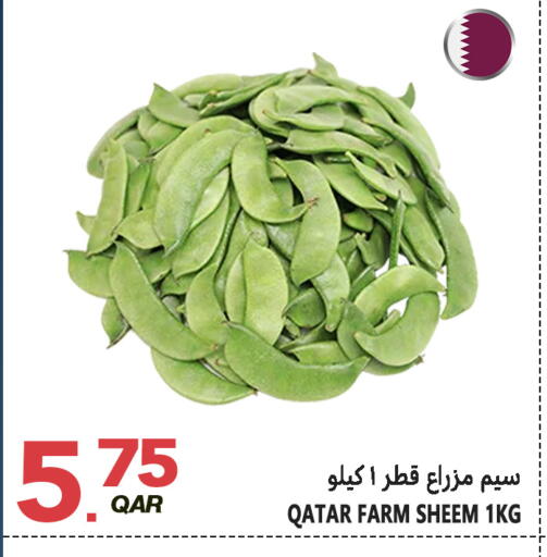 available at قصر الأغذية هايبرماركت in قطر - أم صلال