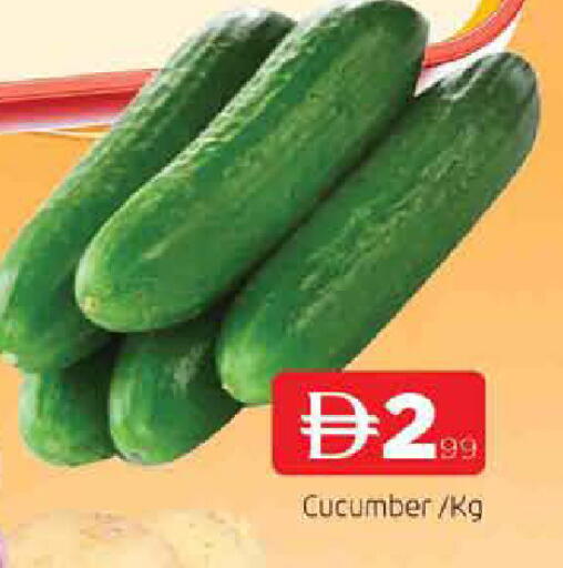 Cucumber available at AL MADINA in UAE - Sharjah / Ajman