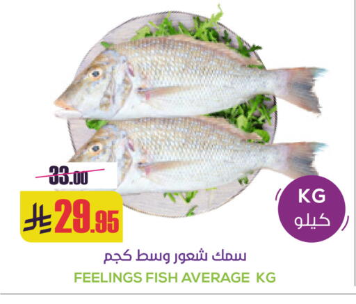 available at سبت in مملكة العربية السعودية, السعودية, سعودية - بريدة