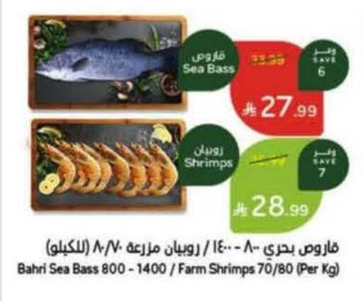 available at هايبر بنده in مملكة العربية السعودية, السعودية, سعودية - وادي الدواسر