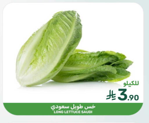 Lettuce from Saudi Arabia available at  مـزايــا in مملكة العربية السعودية, السعودية, سعودية - المنطقة الشرقية