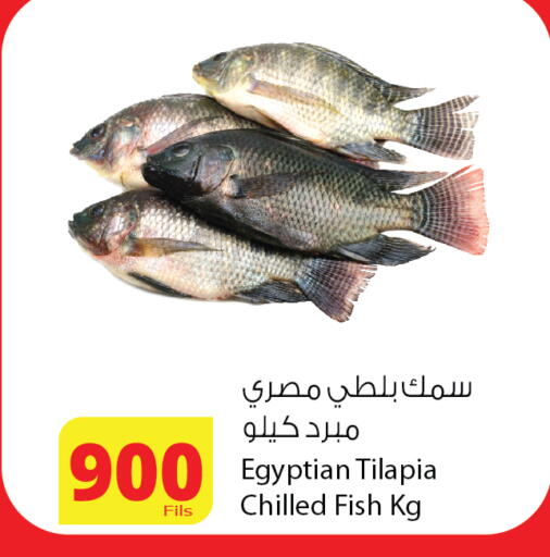 available at شركة المنتجات الزراعية الغذائية in الكويت - محافظة الأحمدي