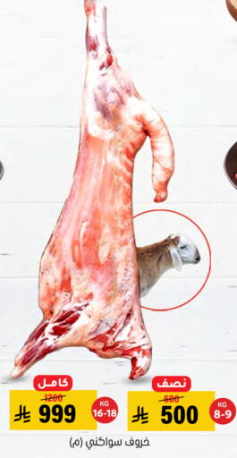 available at العامر للتسوق in مملكة العربية السعودية, السعودية, سعودية - الأحساء‎