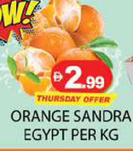 Orange from Egypt available at زين مارت سوبرماركت in الإمارات العربية المتحدة , الامارات - رَأْس ٱلْخَيْمَة