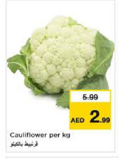 Cauliflower available at لاست تشانس in الإمارات العربية المتحدة , الامارات - ٱلْفُجَيْرَة‎