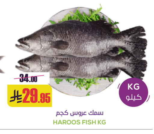 available at سبت in مملكة العربية السعودية, السعودية, سعودية - بريدة