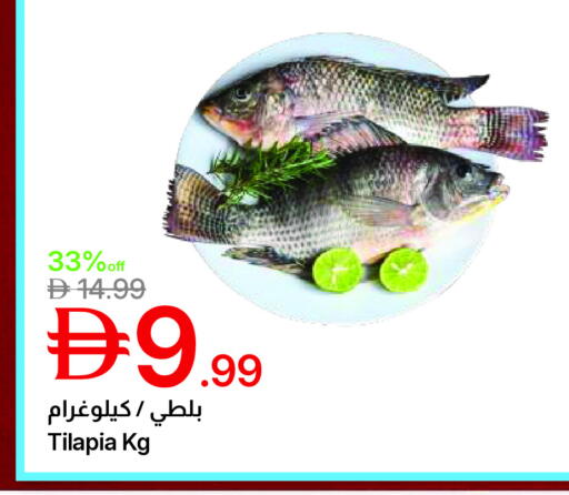 available at جمعية الامارات التعاونية in الإمارات العربية المتحدة , الامارات - دبي