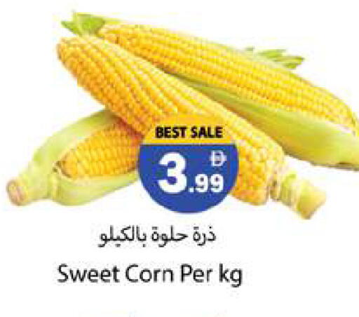 available at جلف هايبرماركت ذ.م.م in الإمارات العربية المتحدة , الامارات - رَأْس ٱلْخَيْمَة