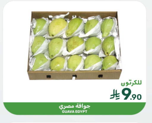 Guava from Egypt available at Mazaya in KSA, Saudi Arabia, Saudi - Qatif