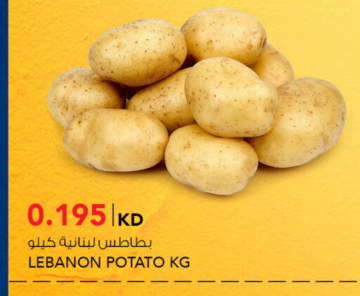 Potato from Lebanon available at  ALNASSER HYPERMARKET in Kuwait - Kuwait City