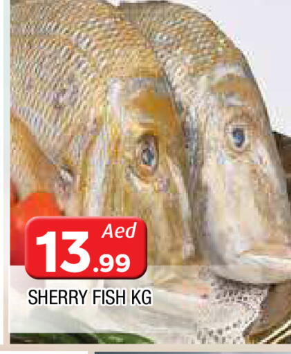 available at AL MADINA in UAE - Sharjah / Ajman