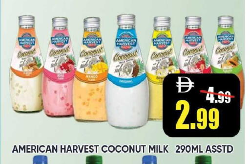 Coconut Mango available at Leptis Hypermarket  in UAE - Ras al Khaimah
