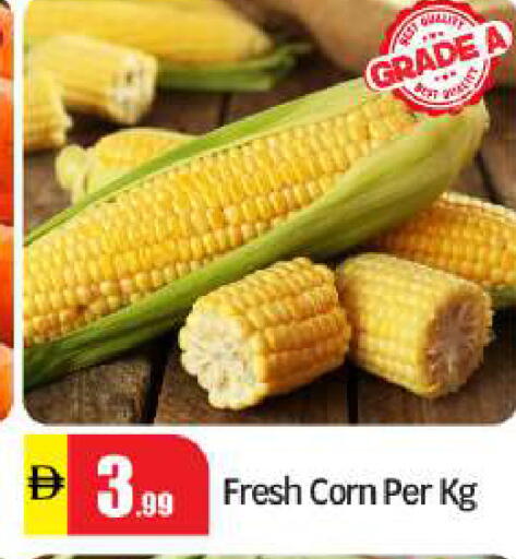 available at بيج مارت in الإمارات العربية المتحدة , الامارات - دبي