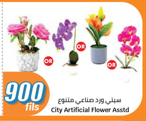 available at City Hypermarket in Kuwait - Jahra Governorate