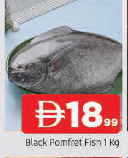 available at AL MADINA in UAE - Sharjah / Ajman