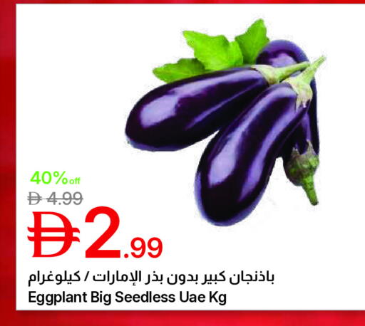 Eggplant available at جمعية الامارات التعاونية in الإمارات العربية المتحدة , الامارات - دبي
