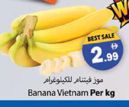 Banana from Vietnam available at زين مارت سوبرماركت in الإمارات العربية المتحدة , الامارات - رَأْس ٱلْخَيْمَة