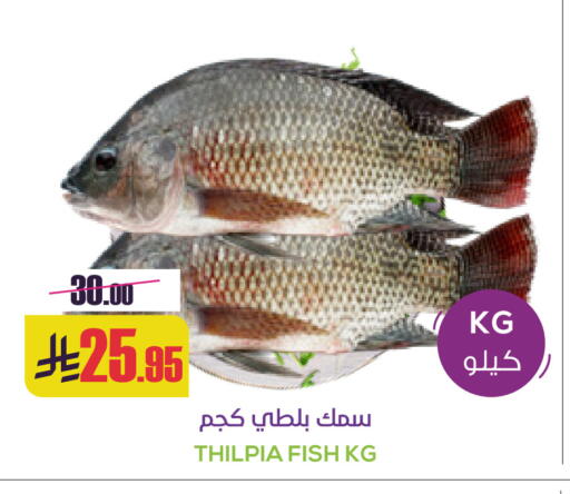 available at سبت in مملكة العربية السعودية, السعودية, سعودية - بريدة