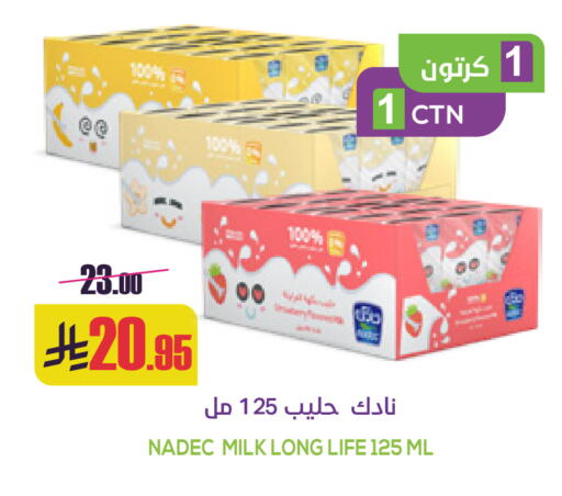 available at سبت in مملكة العربية السعودية, السعودية, سعودية - بريدة