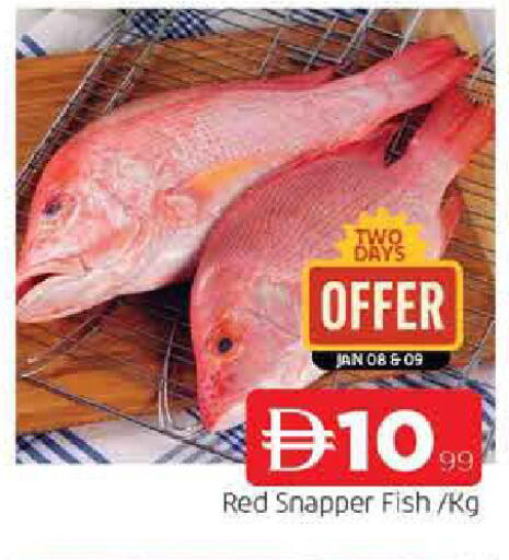 available at AL MADINA in UAE - Sharjah / Ajman