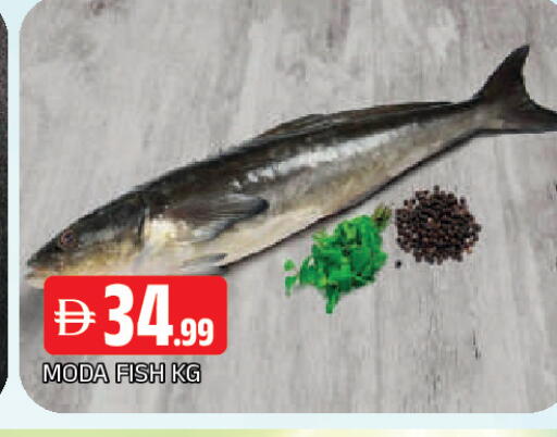 available at AL MADINA in UAE - Sharjah / Ajman