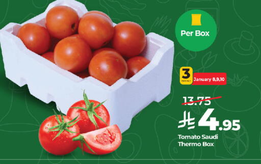 Tomato from Saudi Arabia available at LULU Hypermarket in KSA, Saudi Arabia, Saudi - Jeddah