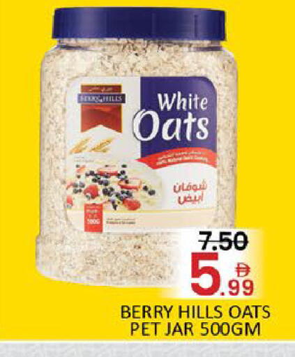 Mango available at مانجو هايبرماركت in الإمارات العربية المتحدة , الامارات - دبي